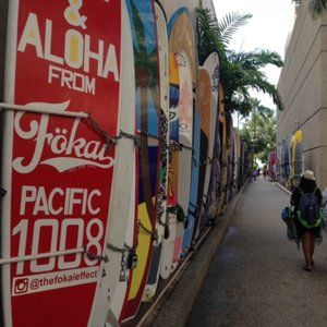 Meet your Posher, Gabe